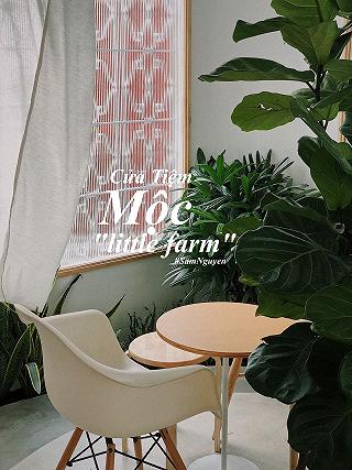 MỘC LITTLE FARM 🍃. - ảnh 1 moc little farm 🍃. - anh 1