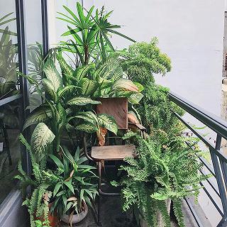 Thưởng thức Đà Lạt ngay giữa Sài Gòn 😳 - ảnh 4 thuong thuc da lat ngay giua sai gon 😳 - anh 4
