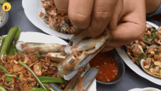 Quán ốc lạ đời chỉ bán duy nhất buổi sáng siêu ngon rẻ - ảnh 1 quan oc la doi chi ban duy nhat buoi sang sieu ngon re - anh 1