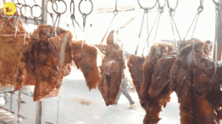 Ngon nhứt nhối BÁNH MÌ DA HEO QUAY giòn rụm - ảnh 1 ngon nhut nhoi banh mi da heo quay gion rum - anh 1