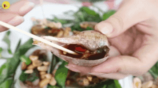 Ngon điên đảo ỐC ĐỒNG GIÁ 20K khách đông kín quán ở Sài Gòn - ảnh 1 ngon dien dao oc dong gia 20k khach dong kin quan o sai gon - anh 1