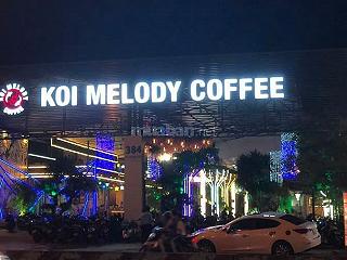 Koi Melody Coffee hót hòn họt ❌❌ - ảnh 5 koi melody coffee hot hon hot ❌❌ - anh 5