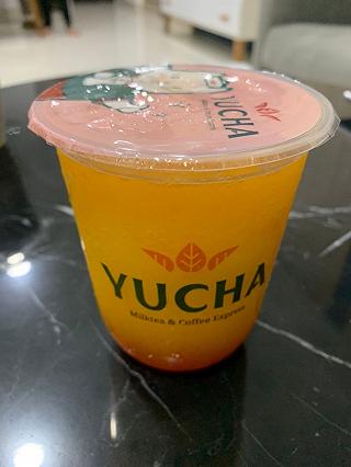 Thỏ ngọc Yucha - ảnh 3 tho ngoc yucha - anh 3