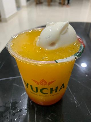 Thỏ ngọc Yucha - ảnh 5 tho ngoc yucha - anh 5