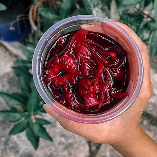 🌺TRÀ ATISÔ ĐỎ FULL TOPPING🌺 - ảnh 3 🌺tra atiso do full topping🌺 - anh 3