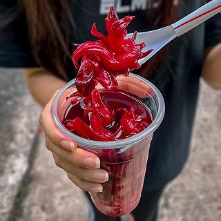 🌺TRÀ ATISÔ ĐỎ FULL TOPPING🌺 - ảnh 2 🌺tra atiso do full topping🌺 - anh 2
