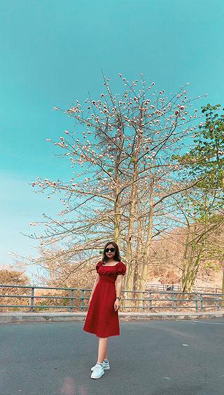 REVIEW VŨNG TÀU 11/3/2020 - ảnh 1 review vung tau 11/3/2020 - anh 1