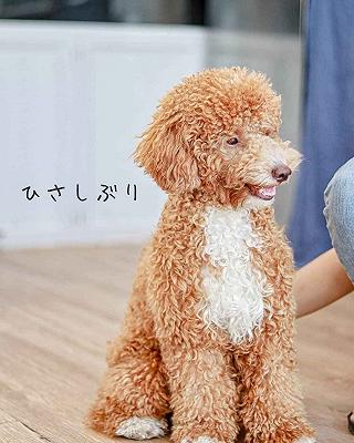Cafe Tone Hàn Siêu Xinh Quận 7 - ảnh 4 cafe tone han sieu xinh quan 7 - anh 4