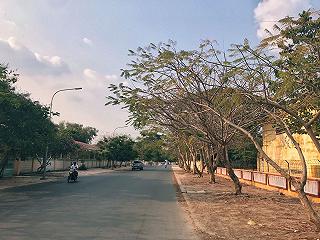 TOÀ THÁNH TÂY NINH - ảnh 2 toa thanh tay ninh - anh 2