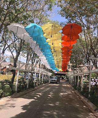 Check-in mỏi tay KHU DU LỊCH BỬU LONG view đẹp xuất sắc lại gần sát Sài Gòn - ảnh 2 check-in moi tay khu du lich buu long view dep xuat sac lai gan sat sai gon - anh 2