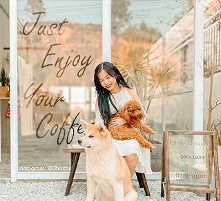 𝐇𝐈𝐋𝐋𝐒𝐈𝐃𝐄 𝐇𝐈𝐃𝐄𝐀𝐖𝐀𝐘 - ảnh 3 𝐇𝐈𝐋𝐋𝐒𝐈𝐃𝐄 𝐇𝐈𝐃𝐄𝐀𝐖𝐀𝐘 - anh 3