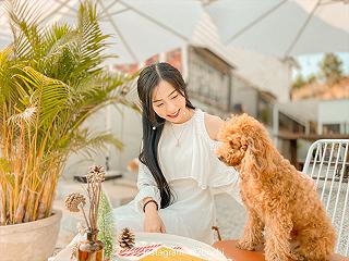 𝐇𝐈𝐋𝐋𝐒𝐈𝐃𝐄 𝐇𝐈𝐃𝐄𝐀𝐖𝐀𝐘 - ảnh 4 𝐇𝐈𝐋𝐋𝐒𝐈𝐃𝐄 𝐇𝐈𝐃𝐄𝐀𝐖𝐀𝐘 - anh 4