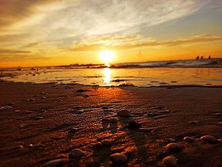 Bình minh bãi sau Vũng Tàu - ảnh 6 binh minh bai sau vung tau - anh 6