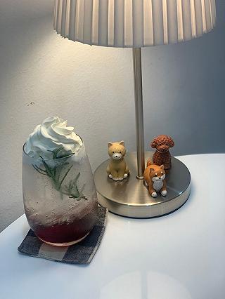 Dora Dora quận 7 - ảnh 3 dora dora quan 7 - anh 3