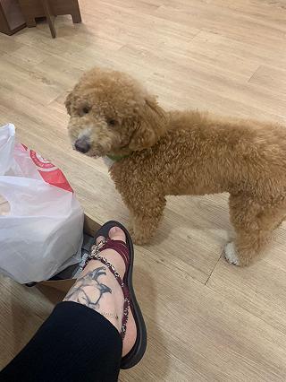 Dora Dora quận 7 - ảnh 6 dora dora quan 7 - anh 6