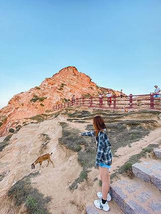 QUY NHON TRIP 3N2D - ảnh 3 quy nhon trip 3n2d - anh 3