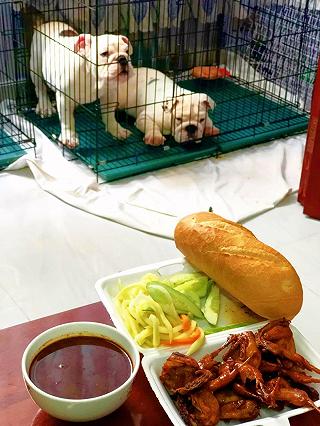 Cút chiên bơ dì năm-ngon vô đối - ảnh 3 cut chien bo di nam-ngon vo doi - anh 3
