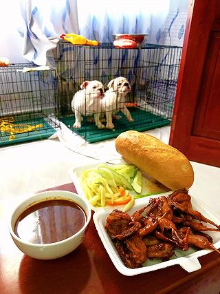 Cút chiên bơ dì năm-ngon vô đối - ảnh 2 cut chien bo di nam-ngon vo doi - anh 2