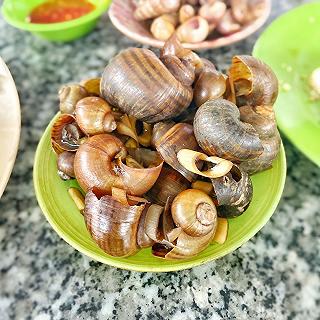 Ốc Nhưng Lương Sơn - ảnh 5 oc nhung luong son - anh 5