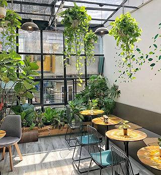 SỐNG ẢO TUNG CHẢO CÙNG LIST 20+ QUÁN CAFE "XỊN-XINH" TẠI HÀ NỘI 🍹📷 - ảnh 4 song ao tung chao cung list 20+ quan cafe "xin-xinh" tai ha noi 🍹📷 - anh 4
