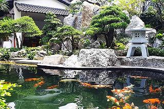 Top 10 quán cafe cá Koi đỉnh nhất tại Sài Thành - ảnh 1 top 10 quan cafe ca koi dinh nhat tai sai thanh - anh 1