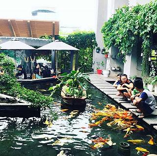 Top 10 quán cafe cá Koi đỉnh nhất tại Sài Thành - ảnh 5 top 10 quan cafe ca koi dinh nhat tai sai thanh - anh 5