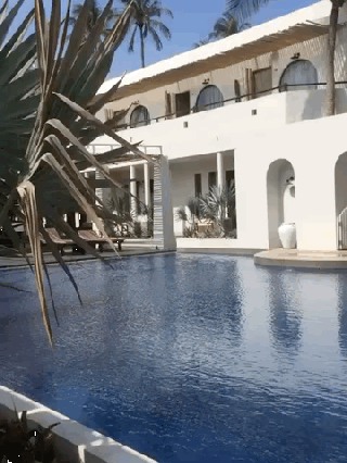 Ks Meraki oasis - ảnh 1 ks meraki oasis - anh 1