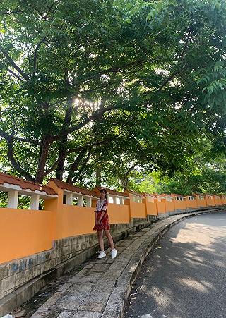 VŨNG TÀU: chỉ sợ phó nháy không có tâm 🤣 - ảnh 4 vung tau: chi so pho nhay khong co tam 🤣 - anh 4