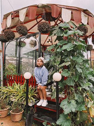 Tiệm bánh ngon view sống ảo lấp lánh ở Đà Lạt - ảnh 6 tieôm bánh ngon view sống ảo lấp lánh ở dà laot - anh 6