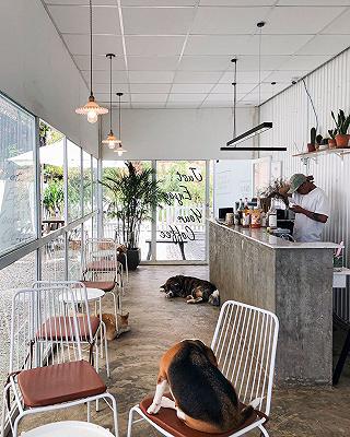 Hillside Hideaway Coffee: - ảnh 6 hillside hideaway coffee: - anh 6