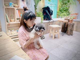 Tìm bình yên bên góc nhỏ Sài Gòn - ảnh 5 tim binh yen ben goc nho sai gon - anh 5
