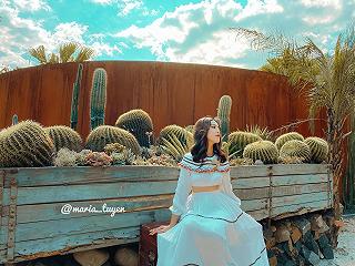 ☘TỔNG HỢP GIÁ VÉ và ĐỊA CHỈ CÁC ĐIỂM DU LỊCH ĐÀ LẠT.☘ - ảnh 4 ☘tong hop gia ve va dia chi cac diem du lich da lat.☘ - anh 4