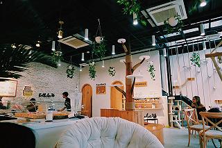 - ảnh 2 - anh 2
