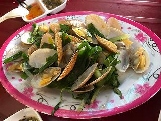 ỐC BÌNH VŨNG TÀU - ảnh 4 oc binh vung tau - anh 4