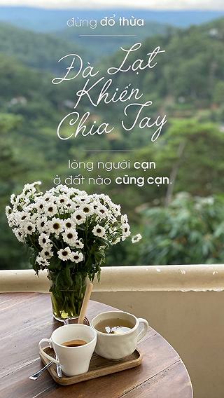 BÍ KÍP ĐÀ LẠT MỘT MÌNH - ảnh 1 bi kip da lat mot minh - anh 1