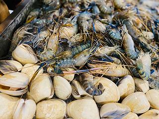 TEAM NGHIỆN HẢI SẢN 🦐🦐 - ảnh 1 team nghien hai san 🦐🦐 - anh 1