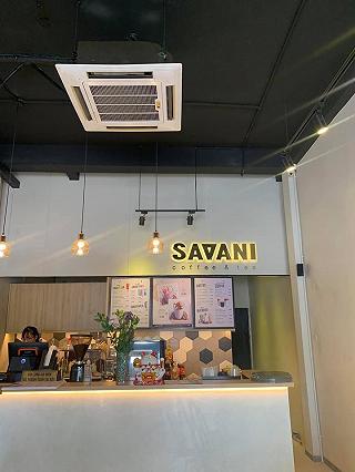 Sữa tương kẹo tổ ong Savani - ảnh 3 sua tuong keo to ong savani - anh 3