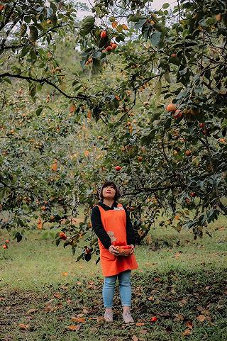 Đà Lạt vào mùa hồng rồi đó, diện bộ váy đẹp đi chụp hình thôi - ảnh 2 da lat vao mua hong roi do, dien bo vay dep di chup hinh thoi - anh 2