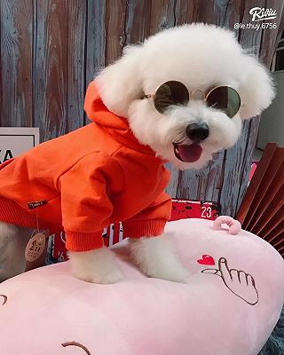 Cherry Pet cherry pet