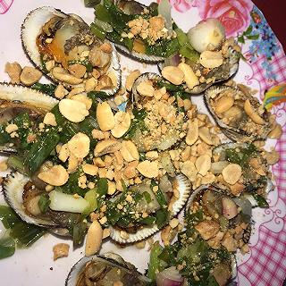 Ốc Hiền - Vũng Tàu - ảnh 1 oc hien - vung tau - anh 1
