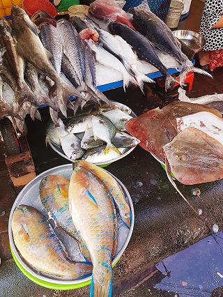 Đến Phú Quốc cưỡi đà điểu thôi!!! - ảnh 3 den phu quoc cuoi da dieu thoi!!! - anh 3