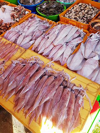 Đến Phú Quốc cưỡi đà điểu thôi!!! - ảnh 4 den phu quoc cuoi da dieu thoi!!! - anh 4