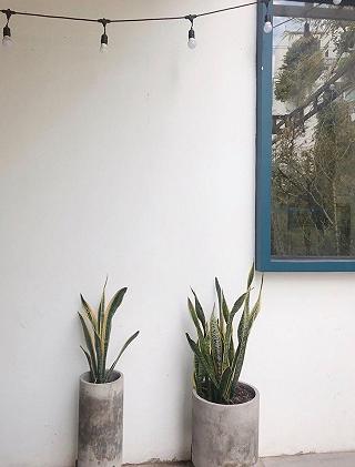 Sau khi đi gần 30 quán, tui đã tìm ra góc cafe XANH, GIÁ ỔN - Phù hợp làm việc - ảnh 2 sau khi di gàn 30 quán, tui dã tìm ra góc cafe xanh, giá ỏn - phù hoop làm vieoc - anh 2