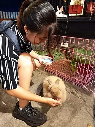 Bunny! - ảnh 3 bunny! - anh 3
