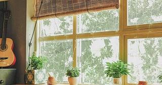 Một không gian khác biệt tại thành phố - ảnh 4 mot khong gian khac biet tai thanh pho - anh 4
