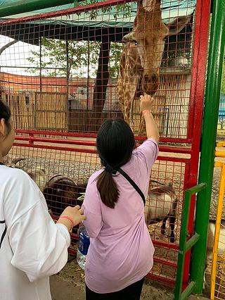 Đầm Sen - Thế giới tuyệt vời - ảnh 3 dam sen - the gioi tuyet voi - anh 3