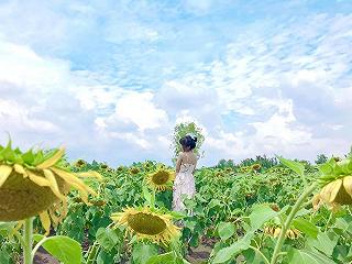 Đầm sen Tam Đa quận 9 - ảnh 2 dam sen tam da quan 9 - anh 2