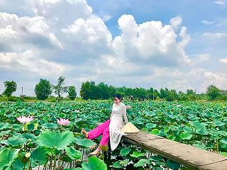Đầm sen Tam Đa quận 9 - ảnh 1 dam sen tam da quan 9 - anh 1
