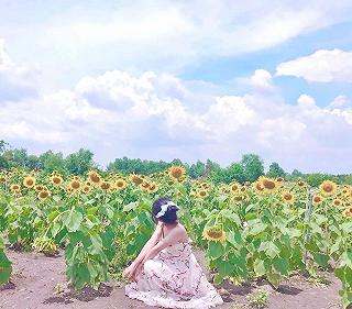 Đầm sen Tam Đa quận 9 - ảnh 6 dam sen tam da quan 9 - anh 6