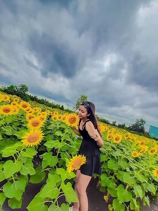 Hồ sen Tam Đa ( quận 9 ) - ảnh 4 ho sen tam da ( quan 9 ) - anh 4